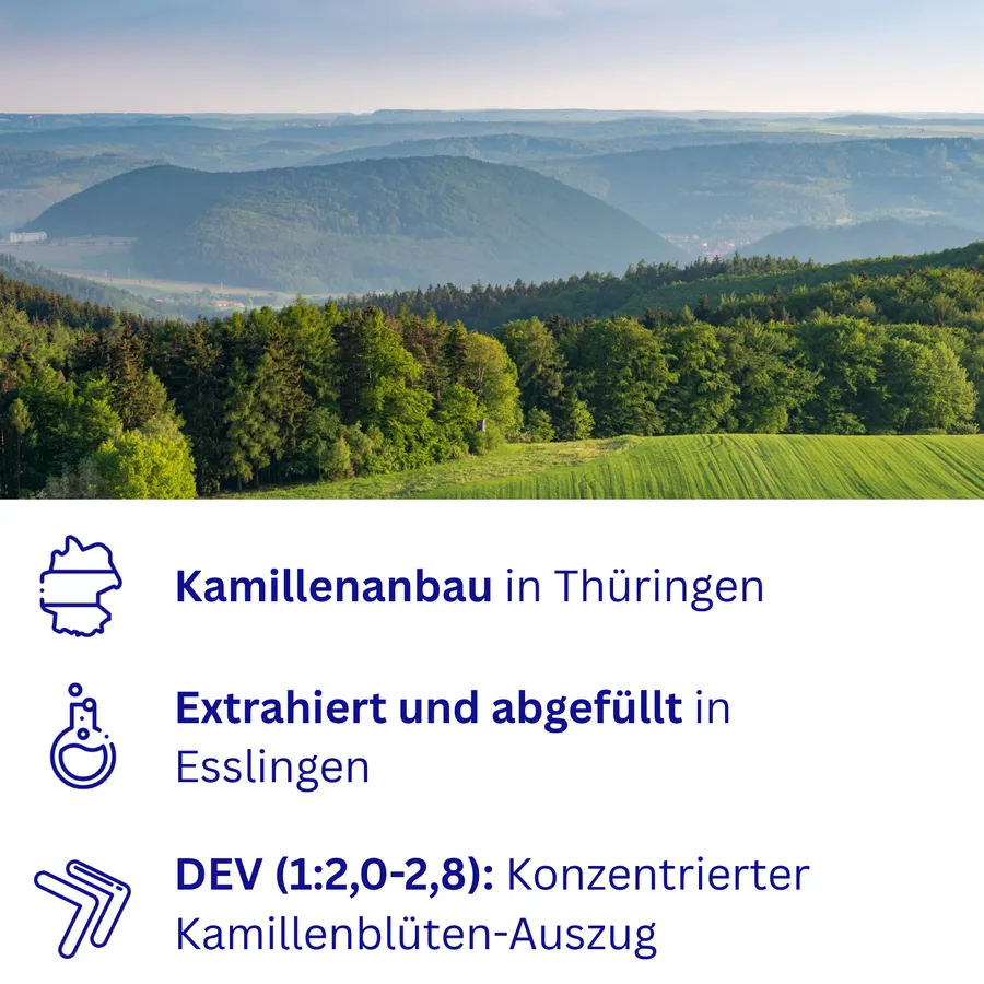 Kamillenanbau in Thüringen, extrahiert und abgefüllt in Esslingen, DEV (1:2,0–2,8): konzentrierter Kamillenblüten-Auszug – Landschaft in Thüringen