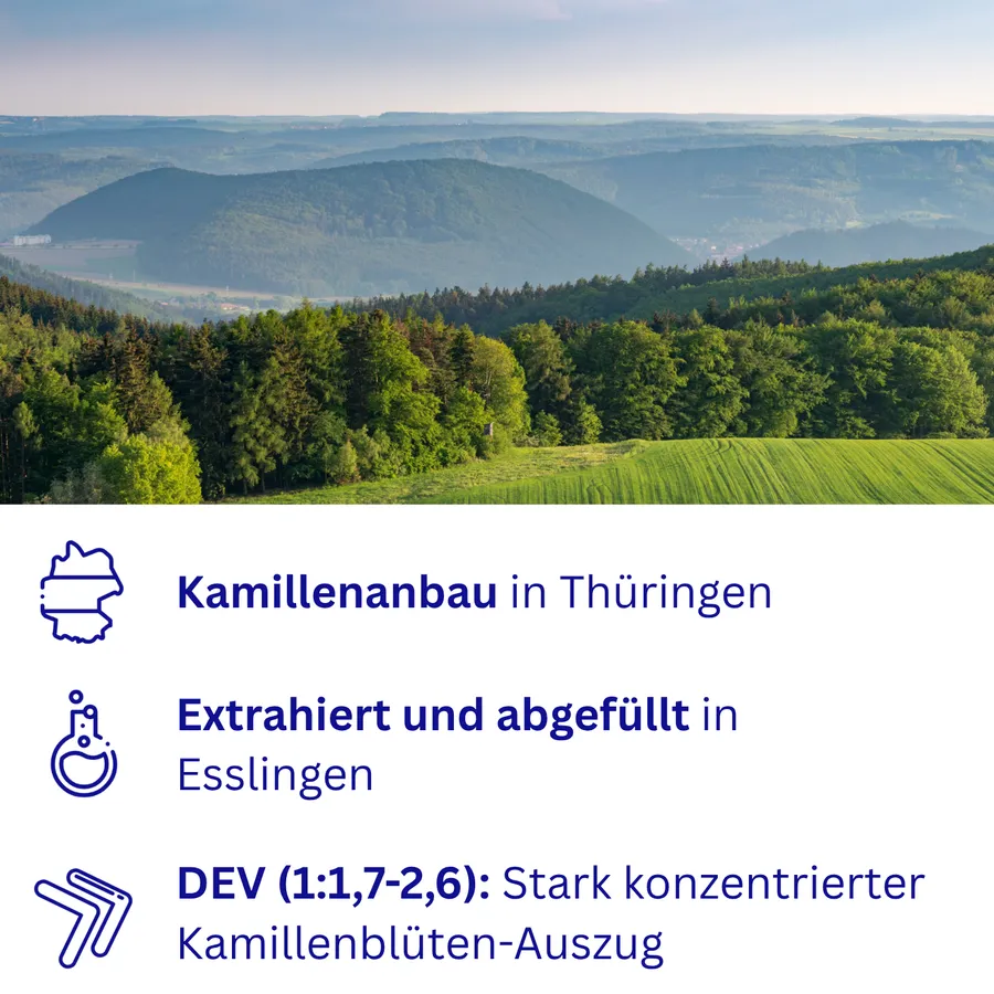 Kamillenanbau in Thüringen, extrahiert und abgefüllt in Esslingen, DEV (1:1,7–2,6): stark konzentrierter Kamillenblüten-Auszug – Landschaft in Thüringen