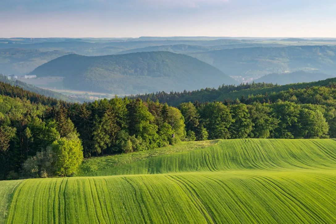 Hügelige Feldlandschaft in Thüringen